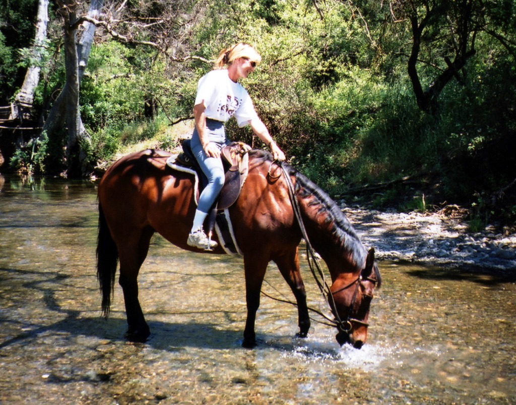 horse in  water